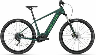 TYGON R10 P FOREST 29" 725Wh