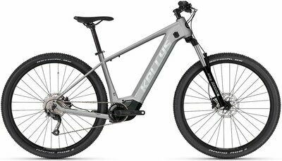 TYGON R10 P LIGHT GREY 29" 725Wh