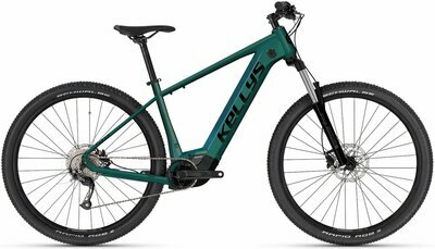 TYGON R10 P MAGIC GREEN 29" 725Wh