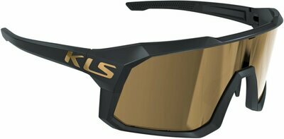 DICE II GOLD POLARIZED