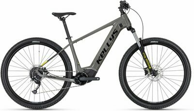 TYGON R10 P GREY 29" 725Wh