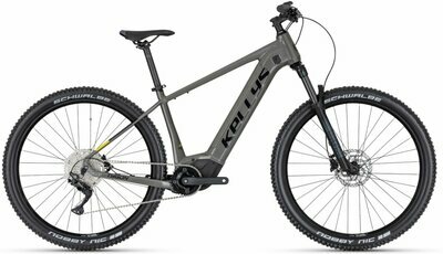 TYGON R50 P GREY 29" 725Wh