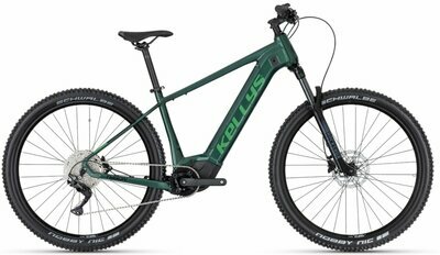 TYGON R50 P FOREST 29" 725Wh