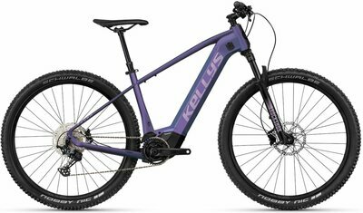 TAYEN R90 P 27.5" 725Wh