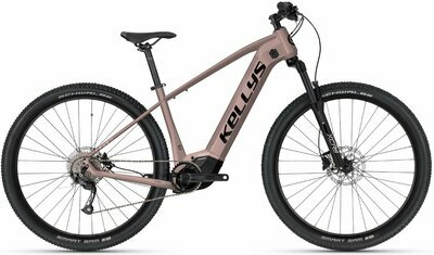 TAYEN R10 AIR P ROSE GOLD 29" 725 Wh