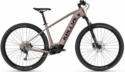 TAYEN R10 AIR P ROSE GOLD 27.5" 725 Wh